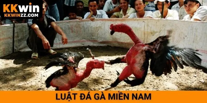 Luật đá gà miền Nam