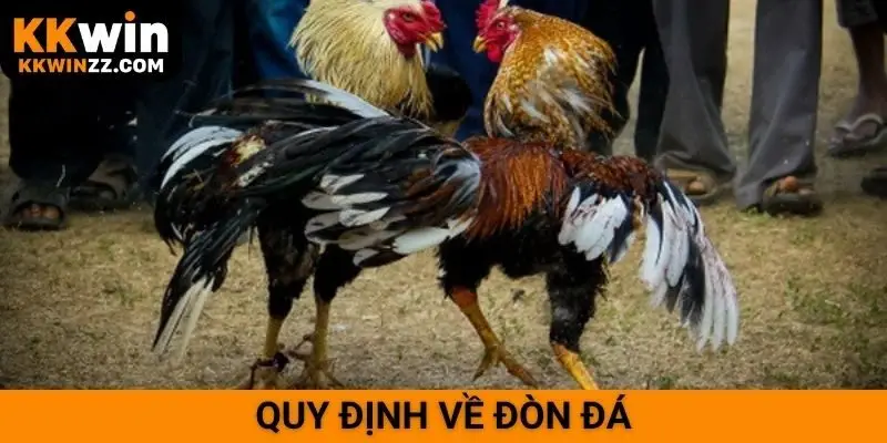 Quy định về đòn đá