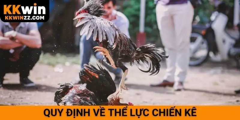 Quy định về thể lực chiến kê